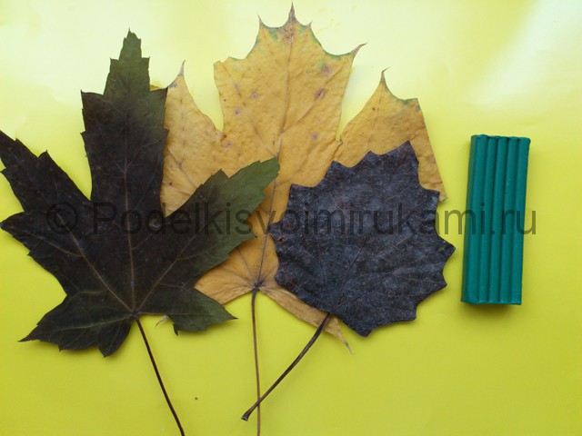 Лепка листьев из пластилина. Шаг №1.