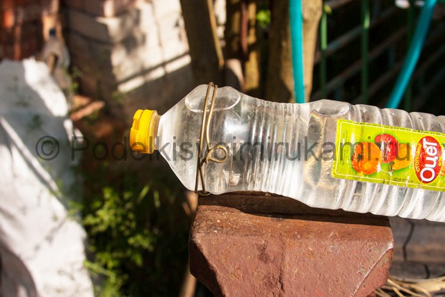 Кормушка для цыплят из пластиковой бутылки. Фото 6.