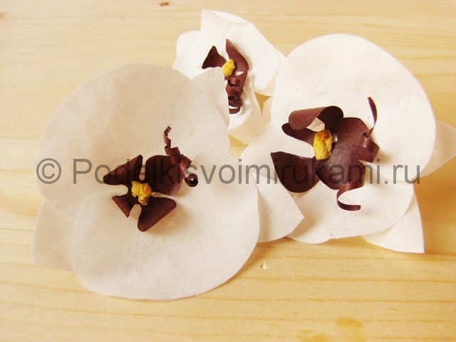 Изготовление орхидеи из бумаги - фото 25.