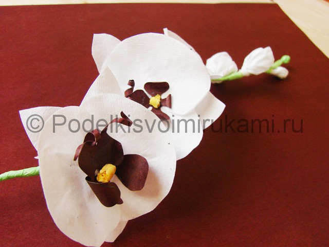 Изготовление орхидеи из бумаги - фото 35.