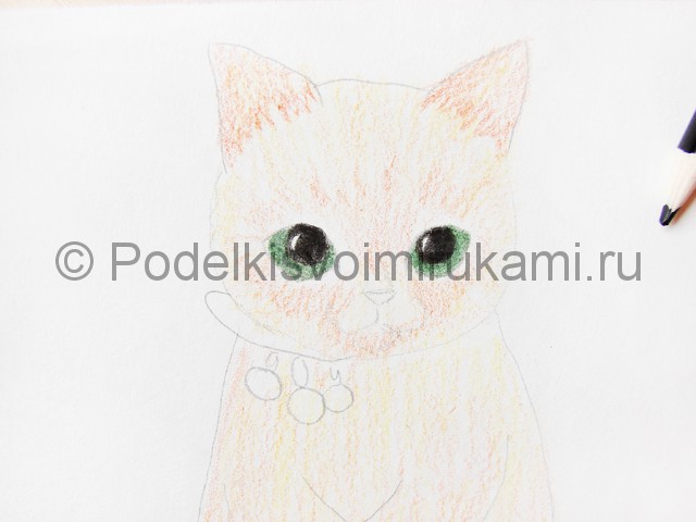 Рисуем кошку цветными карандашами - фото 10.