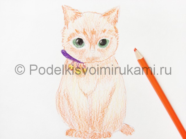 Рисуем кошку цветными карандашами - фото 12.