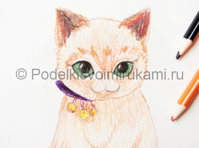 Рисуем кошку цветными карандашами - фото 13.
