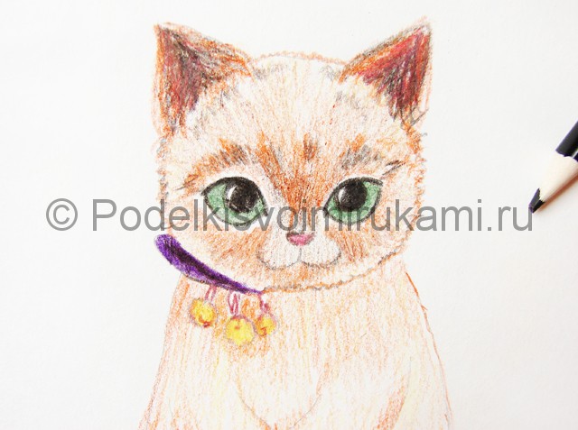Рисуем кошку цветными карандашами - фото 14.