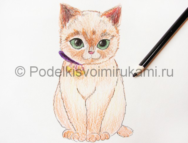 Рисуем кошку цветными карандашами - фото 15.
