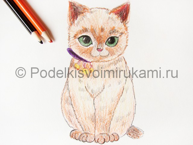 Рисуем кошку цветными карандашами - фото 16.