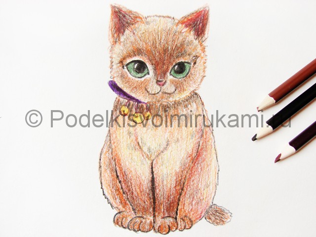 Рисуем кошку цветными карандашами - фото 17.