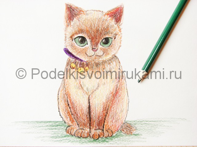 Рисуем кошку цветными карандашами - фото 20.