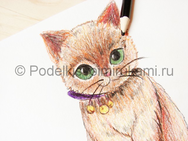 Рисуем кошку цветными карандашами - фото 21.
