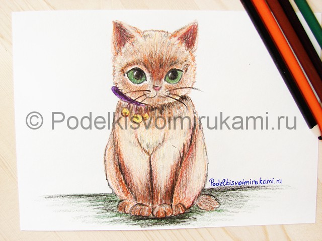 Рисуем кошку цветными карандашами - фото 22.
