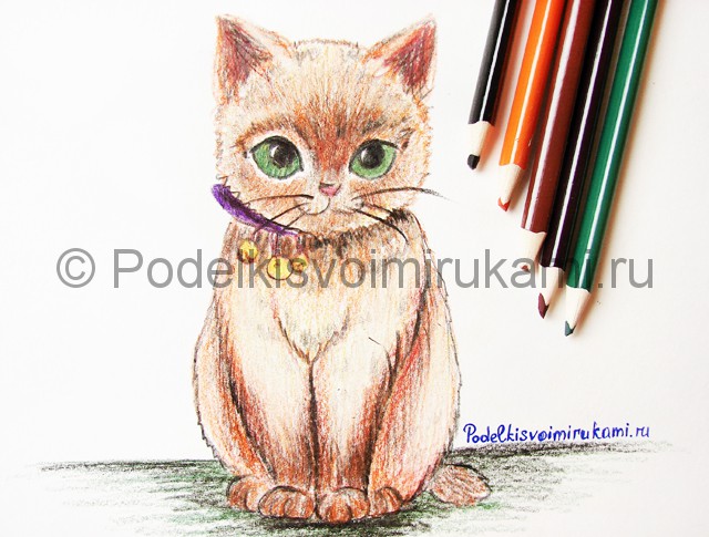 Рисуем кошку цветными карандашами - фото 23.