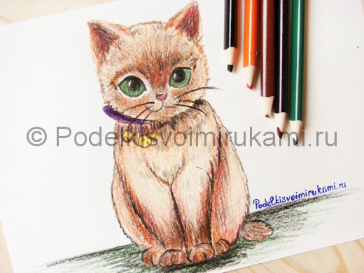 Рисунок кошки цветными карандашами.