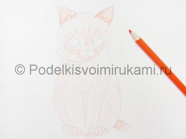 Рисуем кошку цветными карандашами - фото 7.