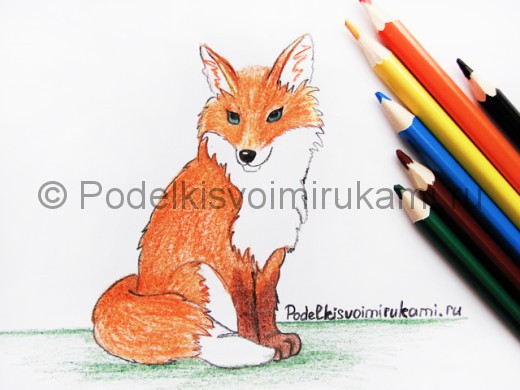 Рисунок лисы цветными карандашами.