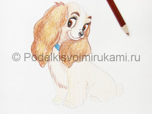 Рисуем собаку цветными карандашами - фото 20.