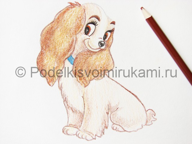 Рисуем собаку цветными карандашами - фото 21.