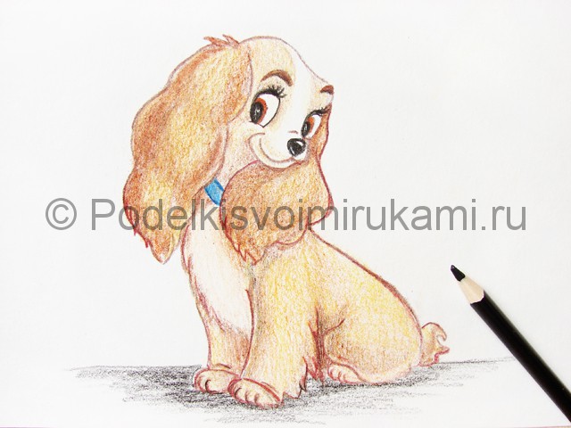 Рисуем собаку цветными карандашами - фото 24.