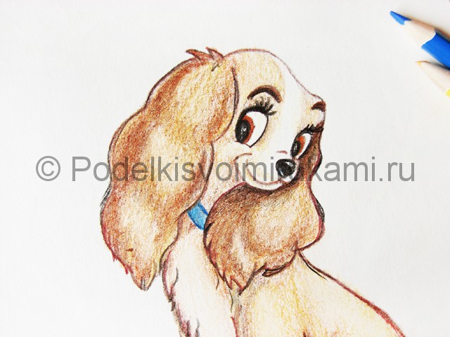 Рисуем собаку цветными карандашами - фото 28.
