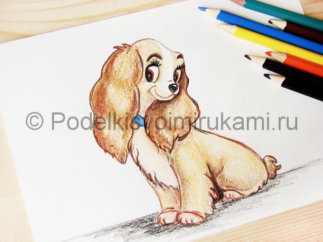 Рисуем собаку цветными карандашами - фото 29.