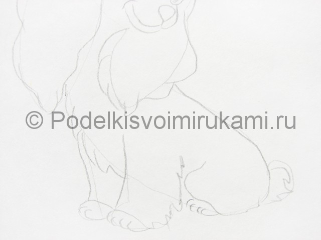 Рисуем собаку цветными карандашами - фото 5.