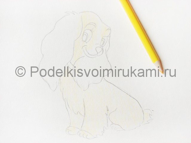 Рисуем собаку цветными карандашами - фото 8.
