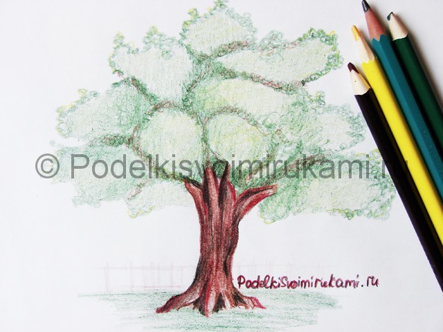 Рисуем дерево цветными карандашами - фото 26.