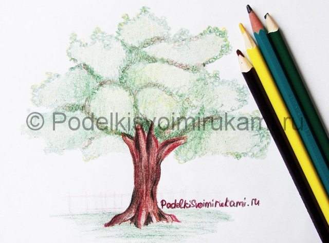 Рисуем дерево цветными карандашами - фото 27.