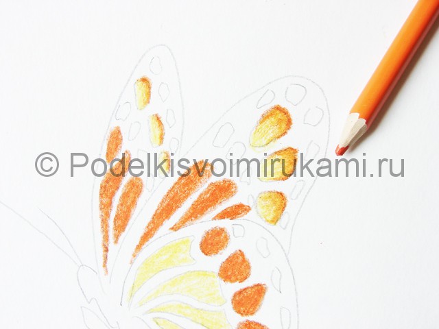 Рисуем бабочку цветными карандашами - фото 11.