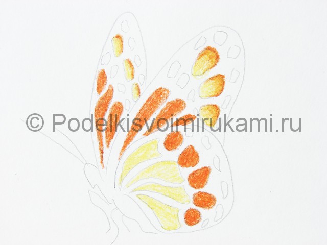 Рисуем бабочку цветными карандашами - фото 12.