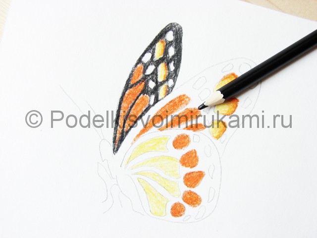 Рисуем бабочку цветными карандашами - фото 13.