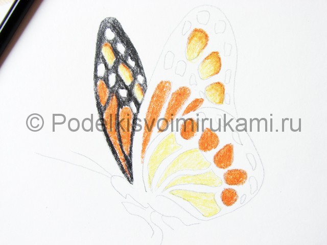 Рисуем бабочку цветными карандашами - фото 14.