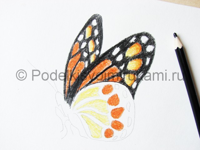 Рисуем бабочку цветными карандашами - фото 15.