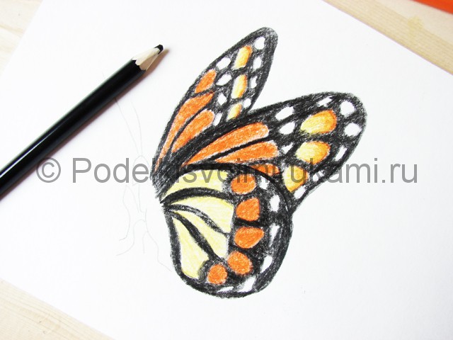 Рисуем бабочку цветными карандашами - фото 16.