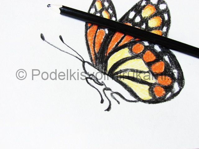 Рисуем бабочку цветными карандашами - фото 18.