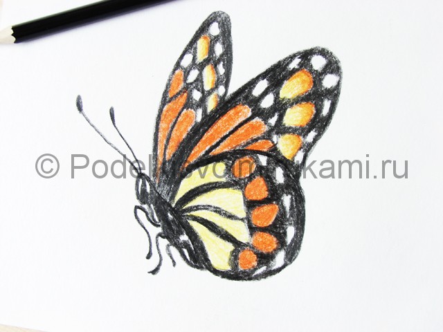 Рисуем бабочку цветными карандашами - фото 19.