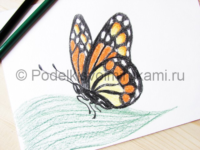 Рисуем бабочку цветными карандашами - фото 21.