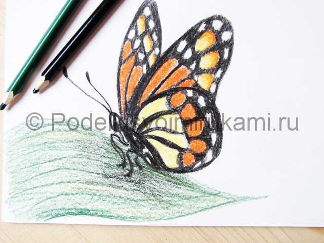 Рисуем бабочку цветными карандашами - фото 22.