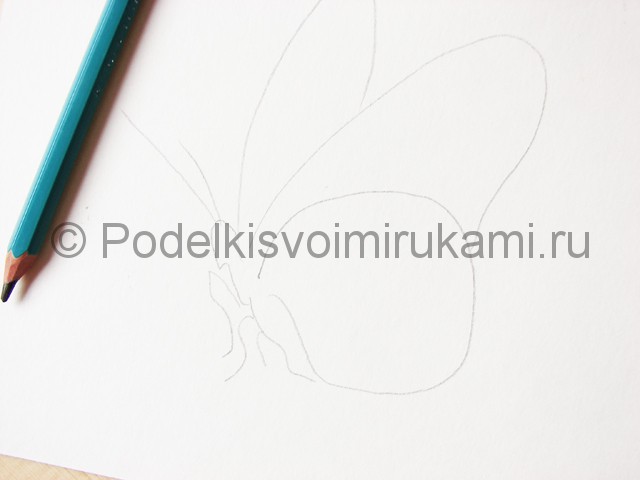 Рисуем бабочку цветными карандашами - фото 3.