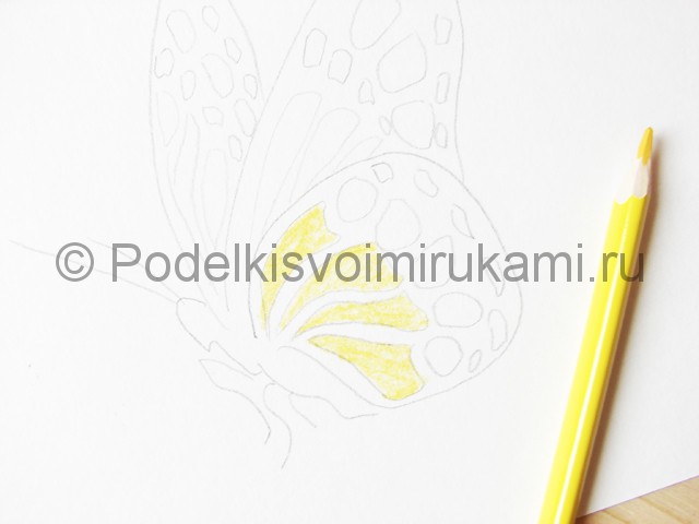 Рисуем бабочку цветными карандашами - фото 8.