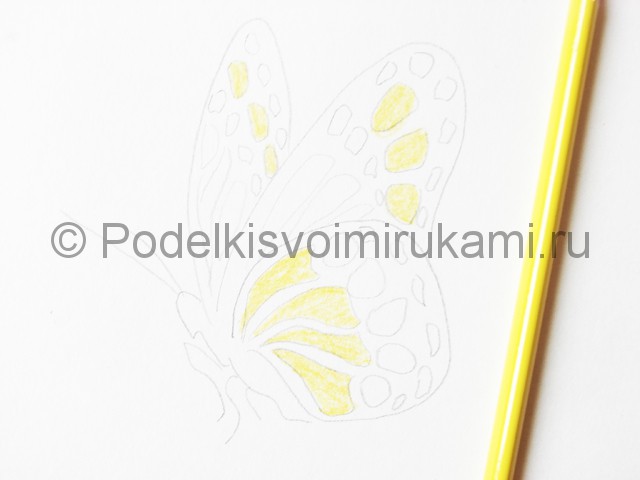 Рисуем бабочку цветными карандашами - фото 9.