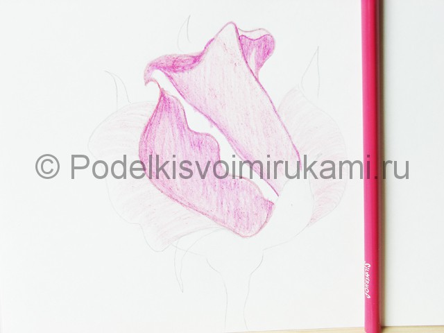 Рисуем красивую розу цветными карандашами - фото 10.