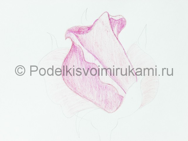 Рисуем красивую розу цветными карандашами - фото 12.
