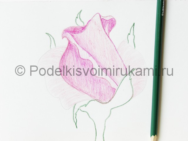 Рисуем красивую розу цветными карандашами - фото 13.