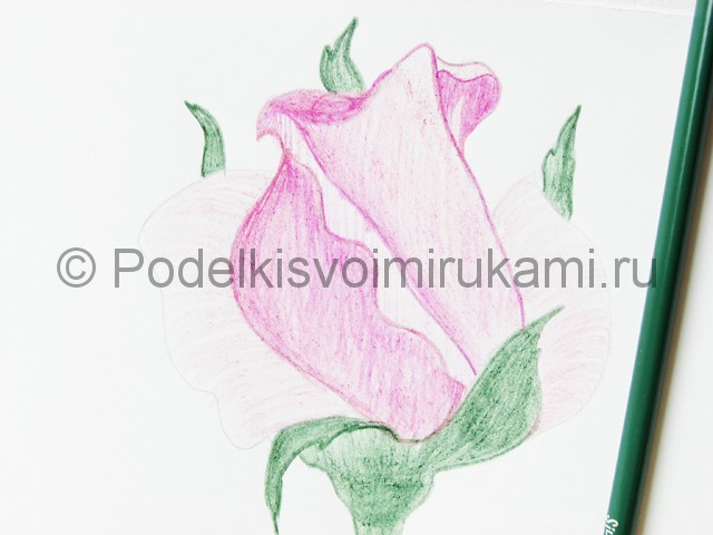 Рисуем красивую розу цветными карандашами - фото 14.