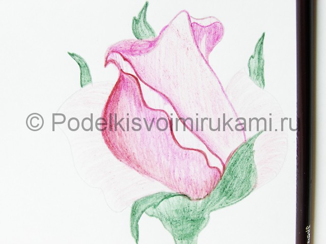 Рисуем красивую розу цветными карандашами - фото 15.
