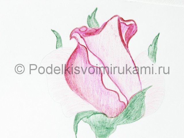 Рисуем красивую розу цветными карандашами - фото 16.
