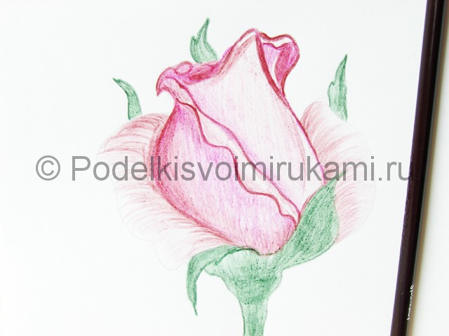 Рисуем красивую розу цветными карандашами - фото 17.
