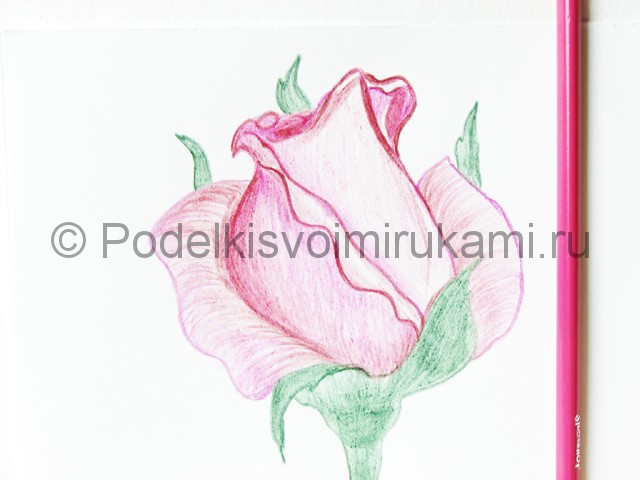 Рисуем красивую розу цветными карандашами - фото 18.