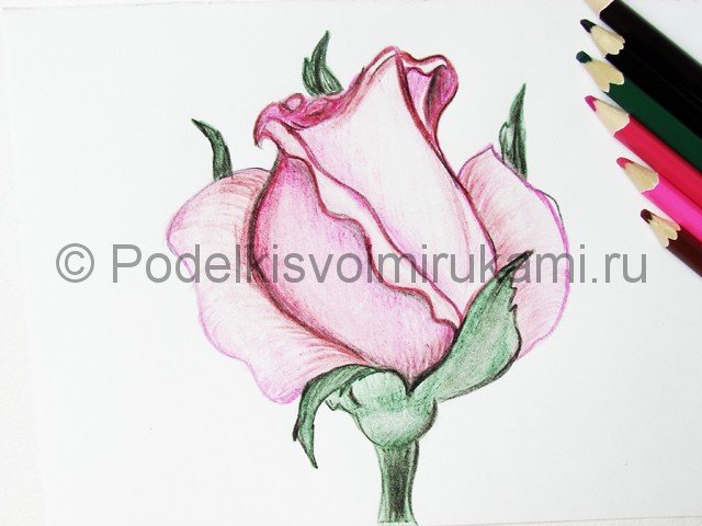 Рисуем красивую розу цветными карандашами - фото 23.