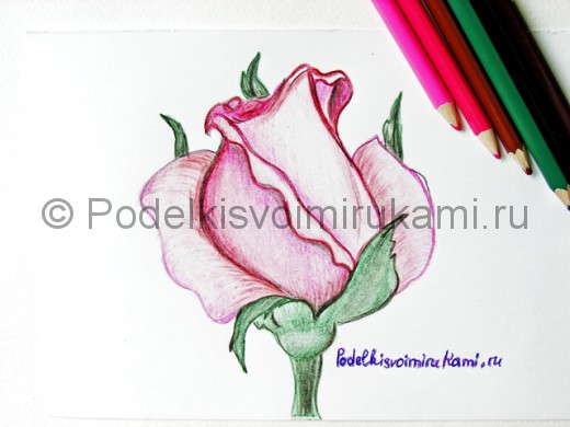 Рисунок розовой розы карандашами.